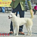P-7702 이미지