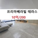 프리마 베라 이미지