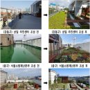 그린오아시스