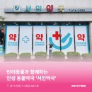 서인약국 네이버블로그