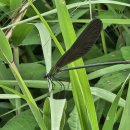 석문동천 이미지