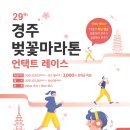 더레드커뮤니케이션즈 | 제29회 경주 벚꽃 마라톤 언택트 레이스