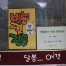 달봉이네애견 네이버블로그