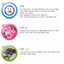 해밀초등학교 이미지