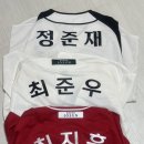 랜더스 야구직관 일기 (응원 깃발기수단 체험 후기) # 1