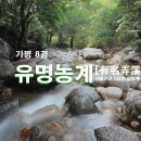 유명산골