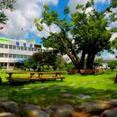 수정마을협동조합 이미지