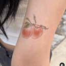 (주)씨지이티씨코리아 | 오망고의 여름 보내기