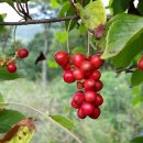 유경농장 이미지