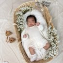우리 아기의 첫 기록👶 50일 촬영 셀프 후기 (로다 테이블 안개 바구니)