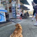 GS25 예산덕산점 이미지