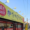 한라풍천장어