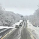 GS25 갈마중문점 | 제주 1100고지 통제 확인 한라산 눈꽃버스 가는 방법