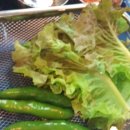 시티목욕탕 이미지