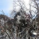 장전초등학교 이미지