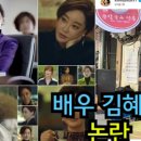 김문수의원 | 김혜은 유시민 설난영(김문수 아내) 막말 논란 / 보수 연예인 서울대 배우 김혜은프로필