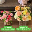 라로소아 | 강동구 꽃집 2025 어버이날 카네이션 비교 | 어버이날 카네이션 총정리