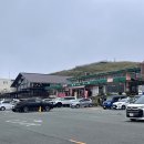 성은목장 | 구마모토｜렌트카 필요 없음! 구마모토 아소산 BEST 코스, EASY GO 투어 추천 이유