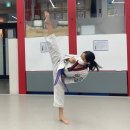 STS한국체대태권도 네이버블로그