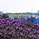 고래정원 이미지