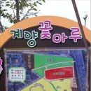 꽃마루 이미지