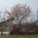 이화정경로당 이미지