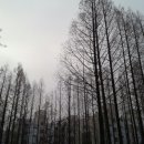 상동행정사사무소 이미지