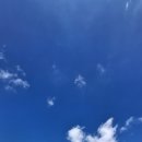 네모귤