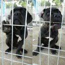 대풍슈퍼 이미지