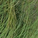 최우식노즈립성형외과의원 이미지