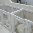 포미포밍 이미지