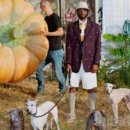 일산동구청 이미지