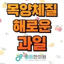 엘림한의원 이미지