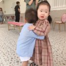 미스터 멍 애견샵 이미지