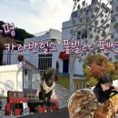 마요르카펜션