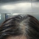 오땡큐헤어 서산점 | 왕십리역 미용실 온즈온헤어 왕십리본점에서 뿌염 받은 후기