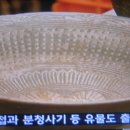 오수관매설-2 Daum카페