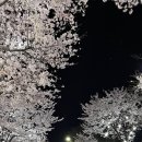 GS25 강릉사랑점 네이버블로그