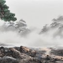 수묵채색화 이미지