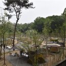 초안산캠핑장 이미지