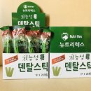 렉스덴탈 네이버블로그