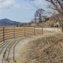 선두4리항 어판장 이미지