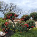 씨에스 호텔 이미지