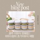 맘마하우스 | 광주이유식 파는곳 하우스맘마 초기 이유식 후기