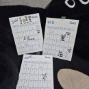 춘봉 | 초보식집사 : 양재꽃시장(양재화훼단지) 구매후기 (마오리소포라, 춘봉철화)