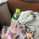 경주 힐링스팟 엘피카페 바이닐바이브 후기