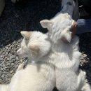 조은마트 이미지