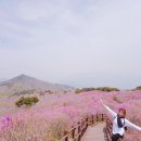 비슬산자연휴양림 네이버블로그