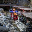 봄날오다 이미지