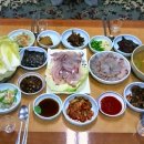 추자바다25시 이미지